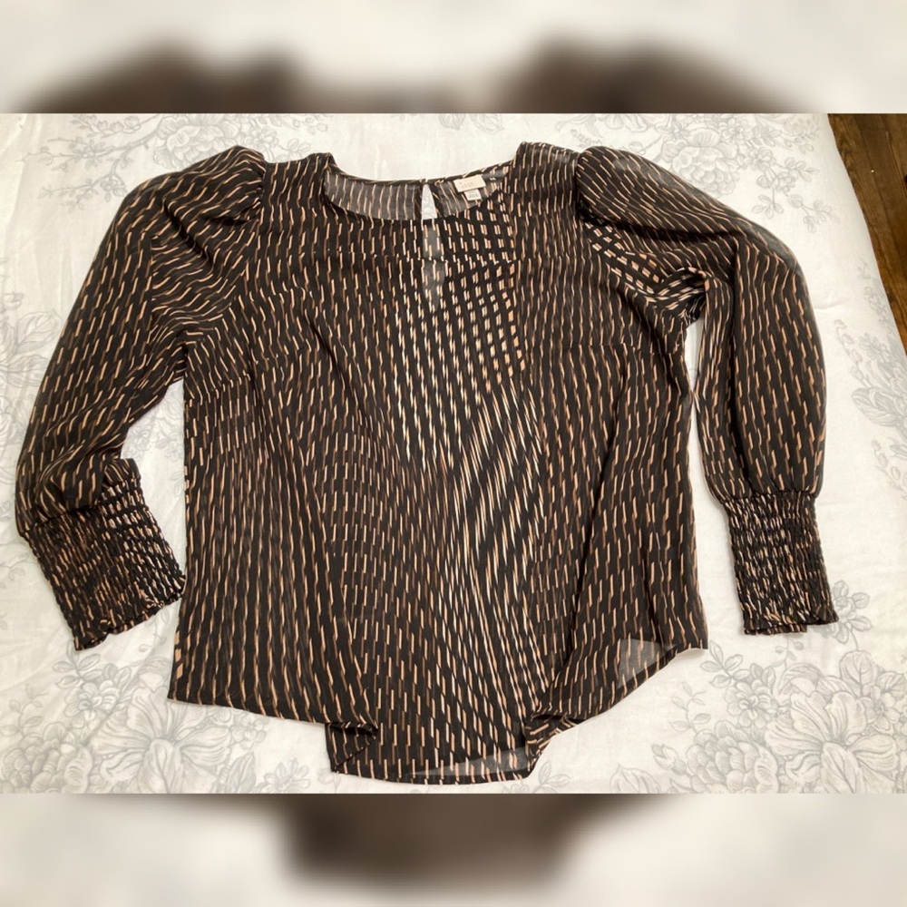 Sheer A New Day Blouse
